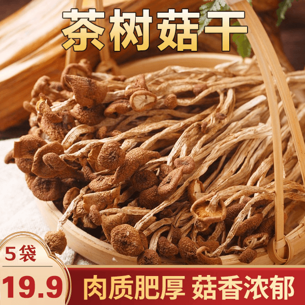 【5袋19.9元】云南茶树菇干鲜香脆嫩有嚼劲炒菜煲汤美味30g/袋