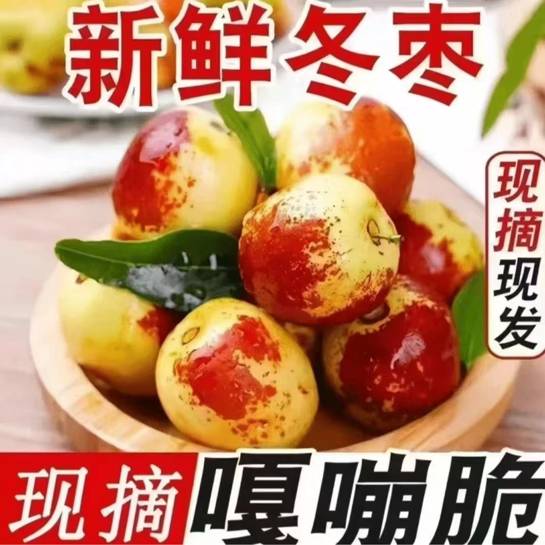 山东沾化冬枣现摘5斤应当季孕妇鲜枣大枣脆甜青枣子新鲜水果整箱