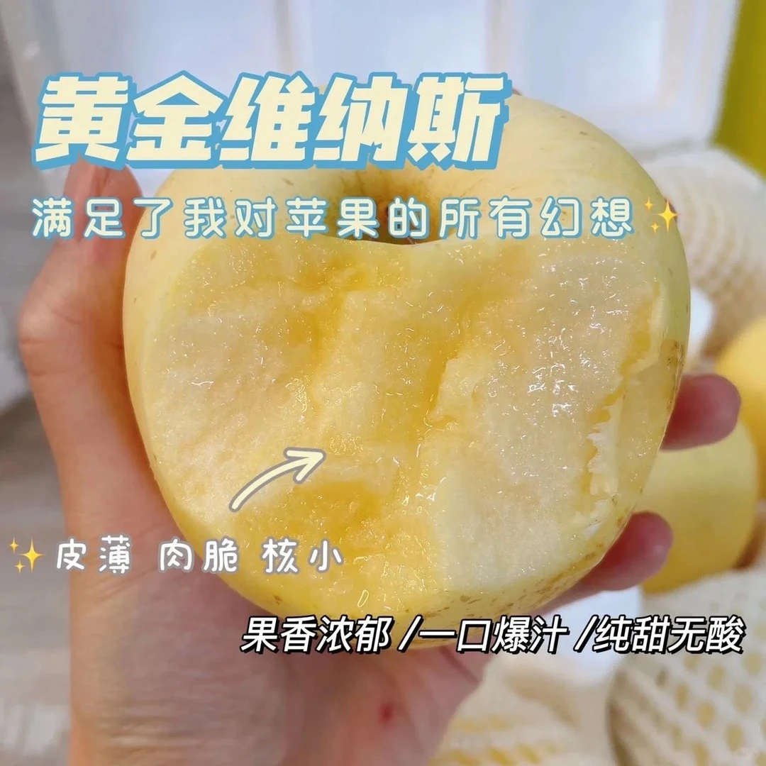 山西临猗正宗奶油苹果 黄金苹果 新鲜脆甜化渣多汁自吃送礼 礼盒