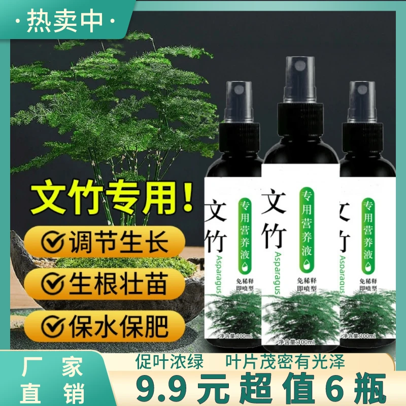 文竹营养液专用肥料免稀释盆栽水培植物叶子发黄通用型