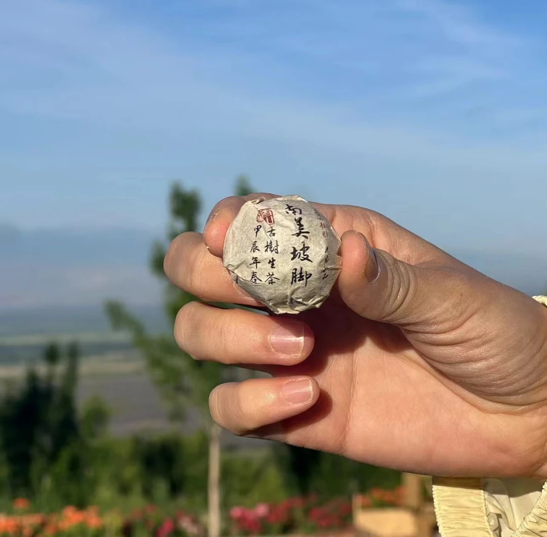 那那-南美坡脚古树普洱生茶 250克/份