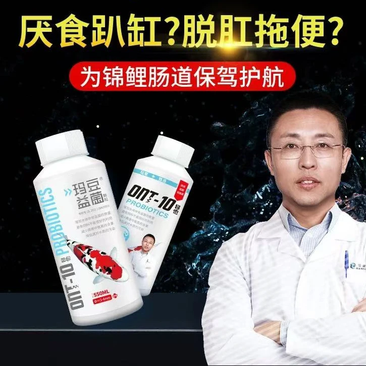 玛豆锦鲤用益生菌颗粒适用于锦鲤观赏鱼益生菌喂食健康