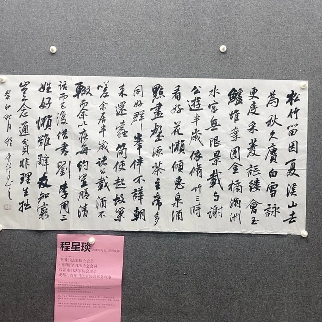 【闪购商品】书法程星琰138×68四川青年理事