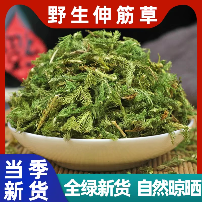 伸筋草正宗道地精选无硫高品质伸筋草搭配枸杞泡水泡茶喝滋补养生
