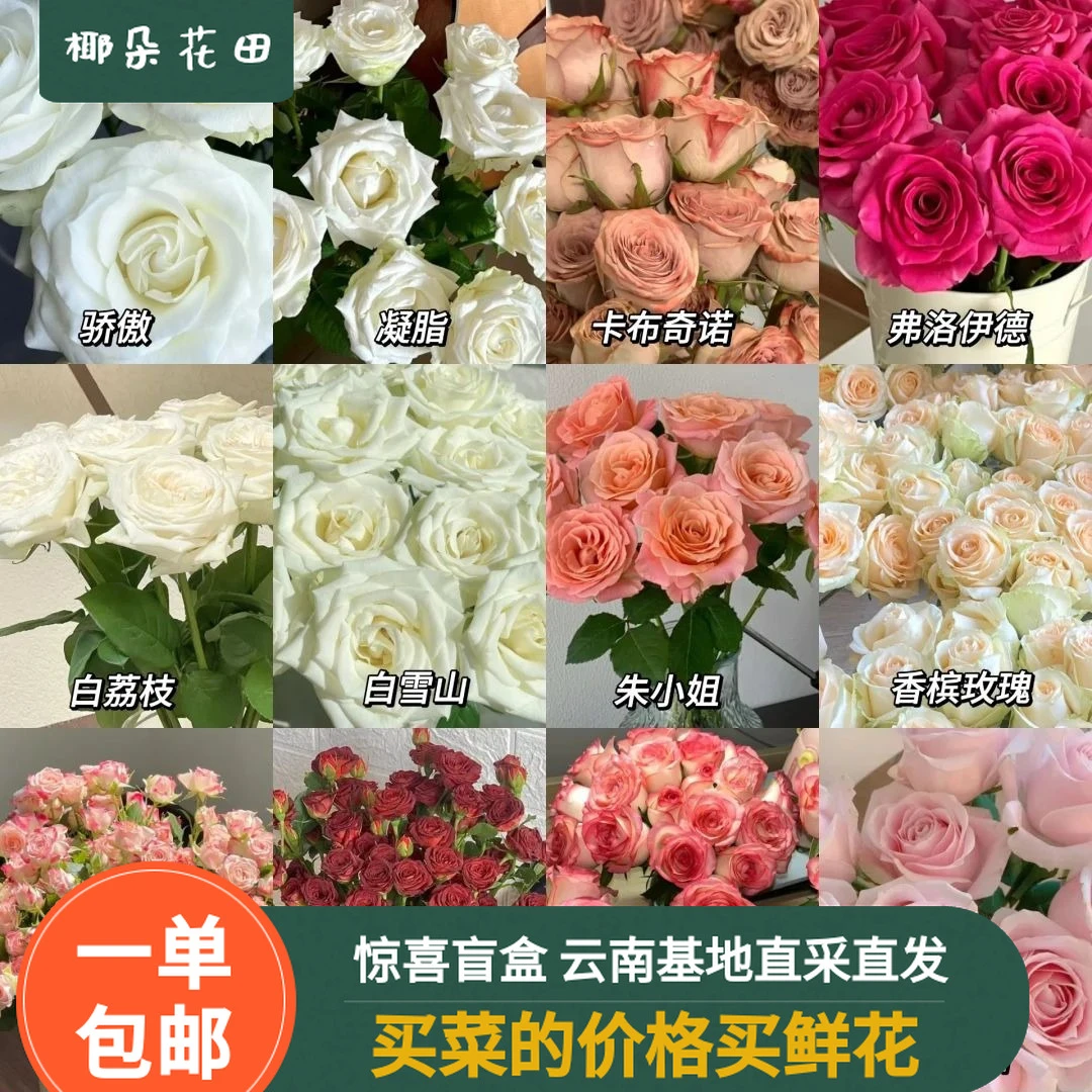 20枝玫瑰（1扎）惊喜盲盒 （不支持指定） 云南鲜花基地直发包邮