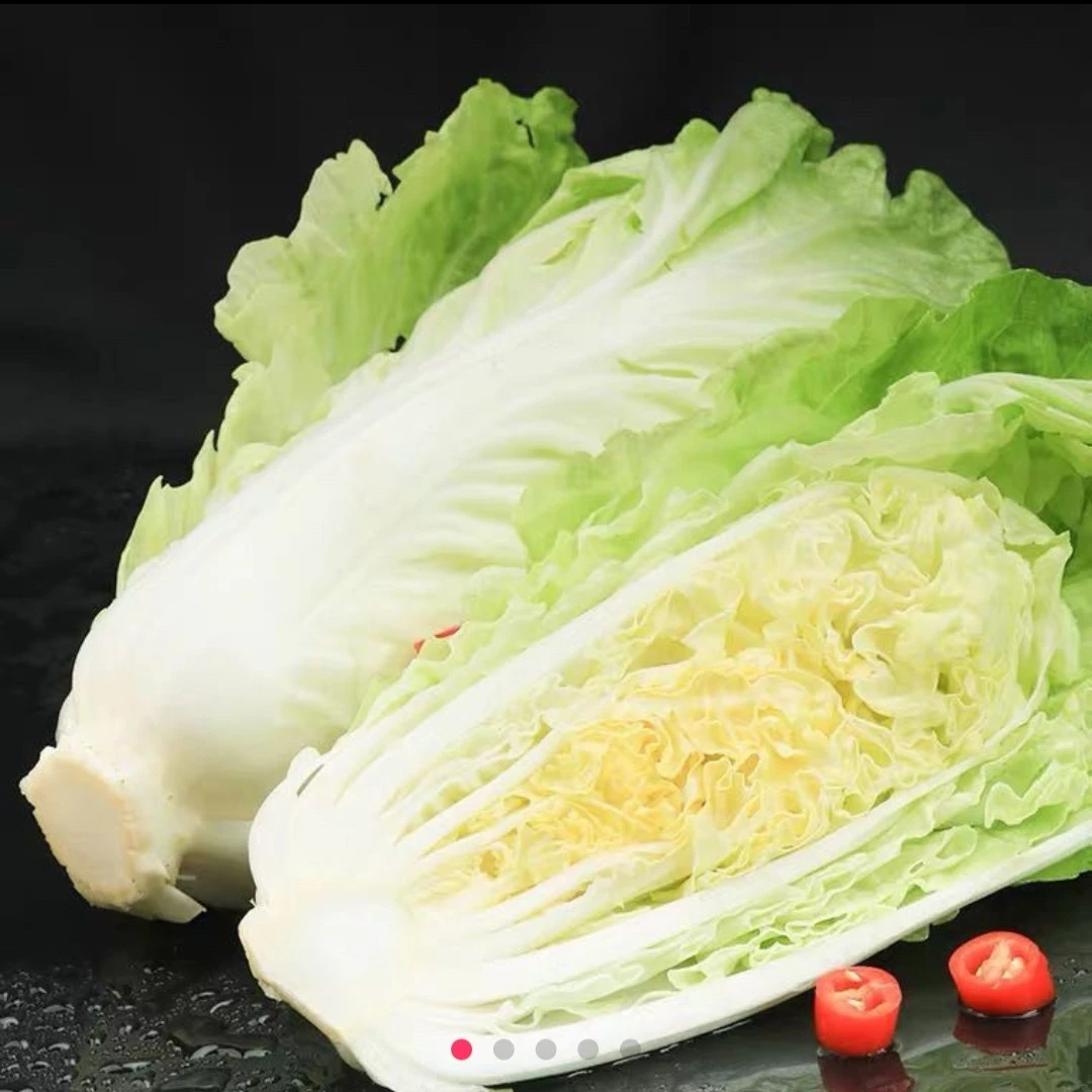 正宗威宁高山农家自种小黄白菜