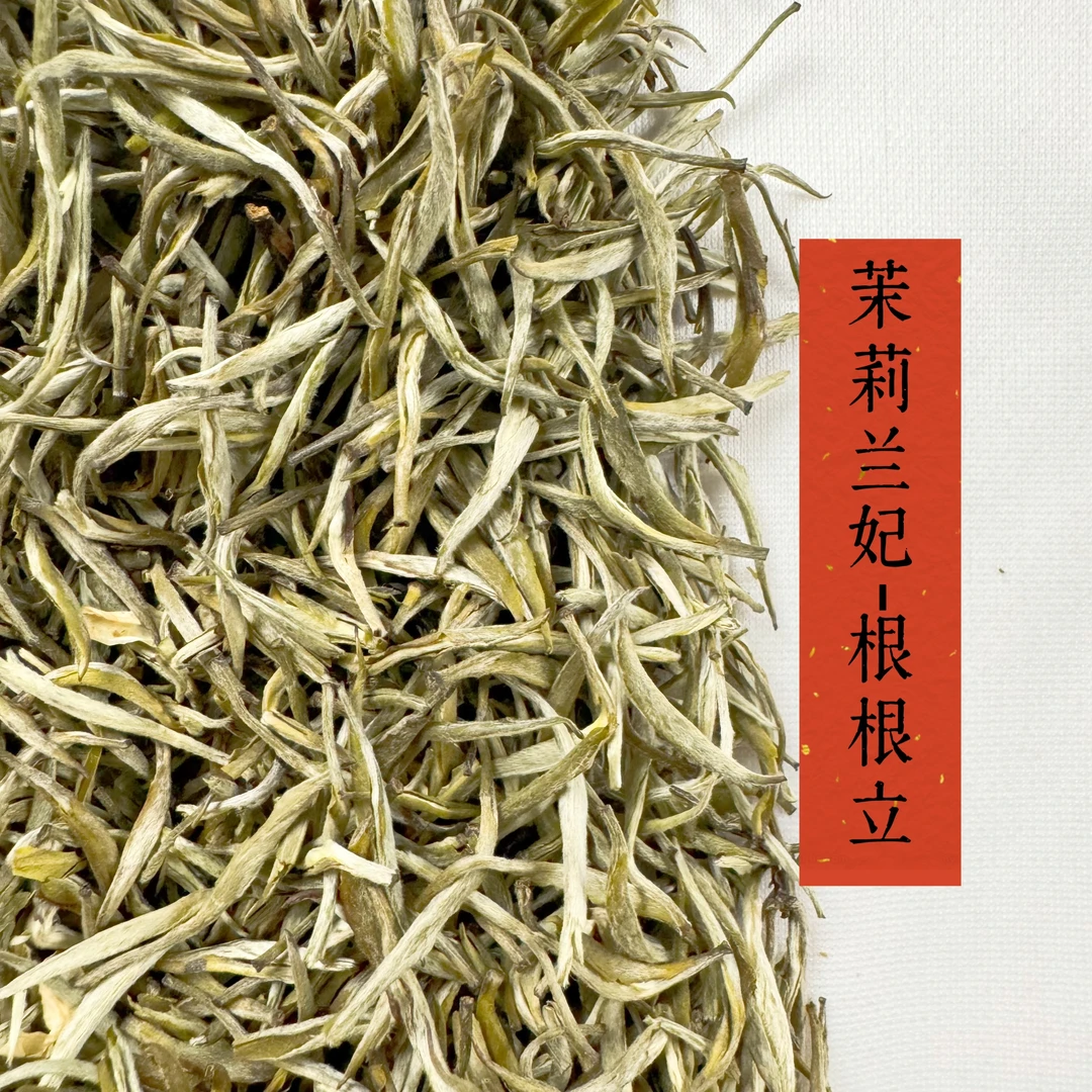 2025年薪茉莉花茶根根立茉莉兰妃口感柔顺