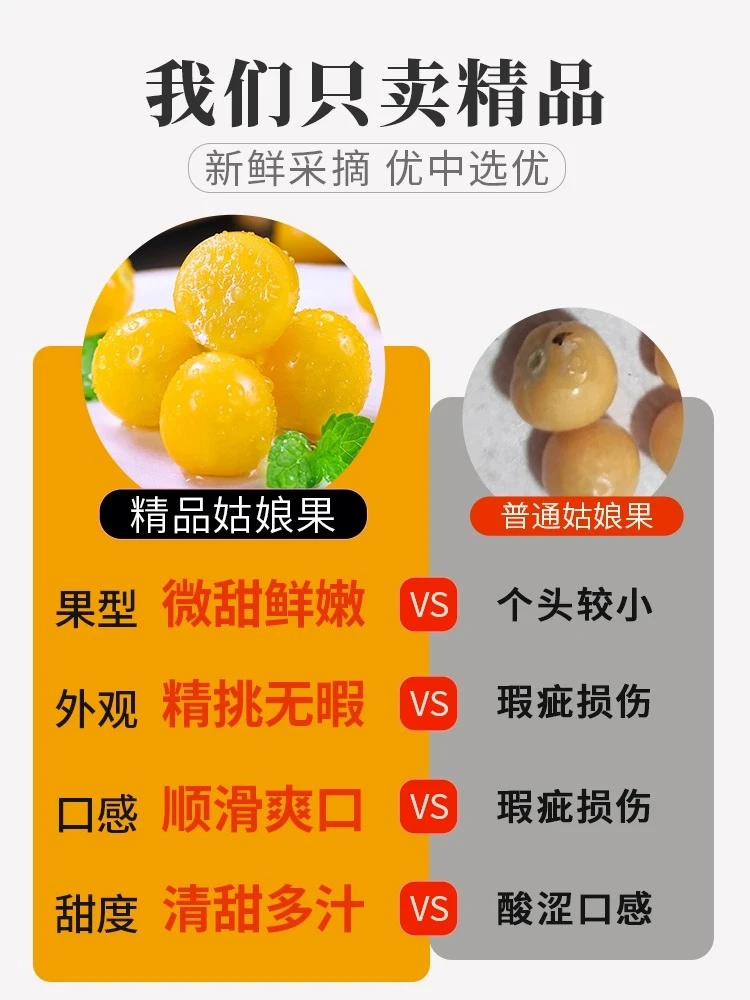 东北姑娘果特产新鲜当季孕妇水果整箱灯笼果黄菇娘洋姑娘果特大果