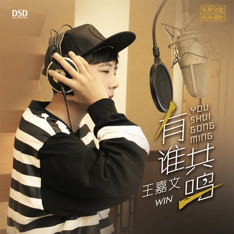 乐升唱片 王嘉文 有谁共鸣 CD 发烧专辑唱片 HQII/DSD/母盘直刻