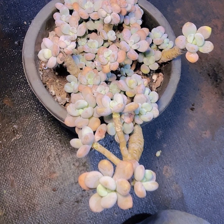 刘*给足一起了一个好男人形象代言人