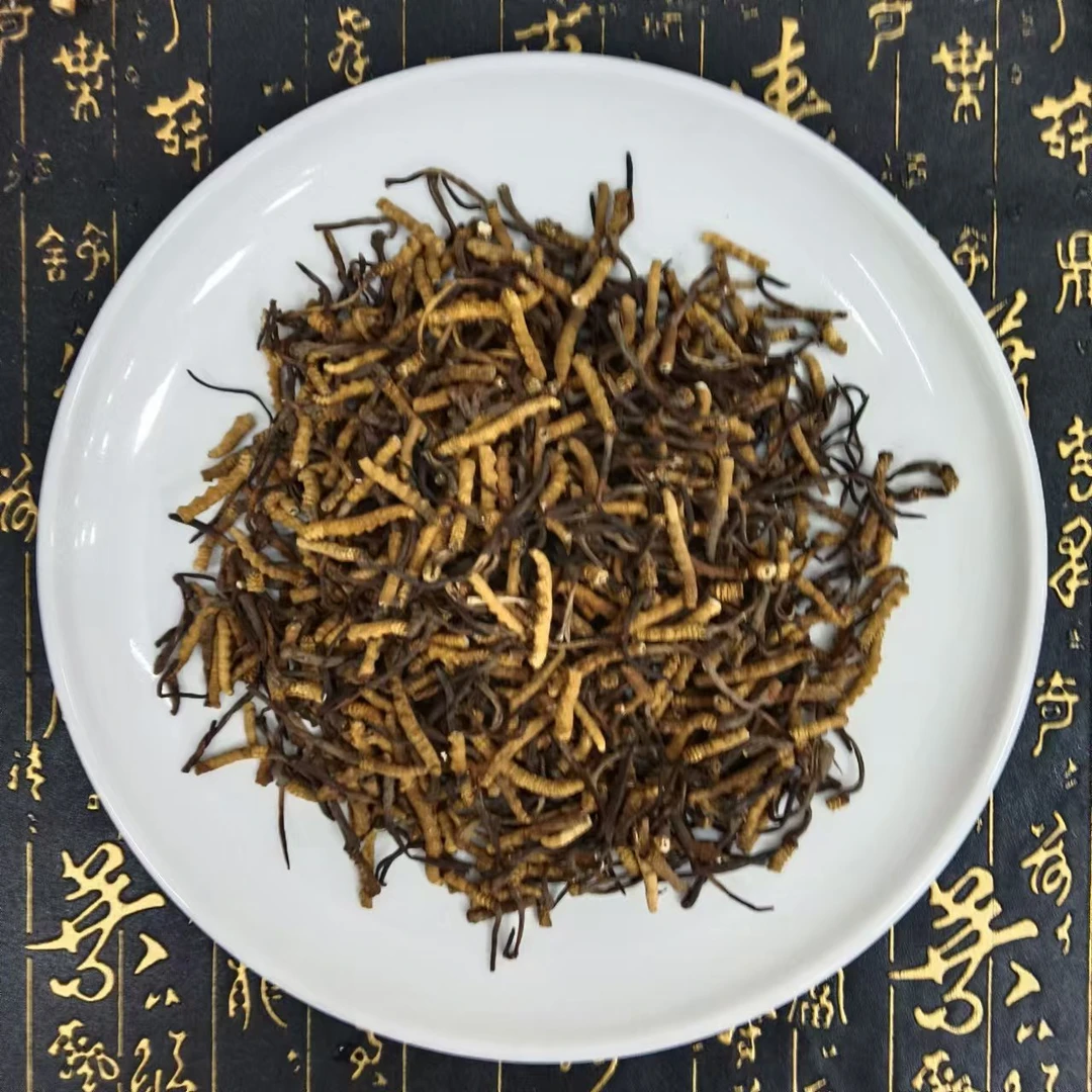 【幸子精选】干冬虫夏草中断草