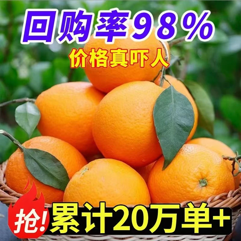 【精品发货】正宗赣南脐橙新鲜赣州橙子江西甜橙水果3斤9斤批发包邮