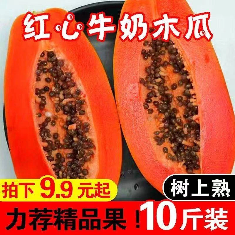 【时令】云南红心牛奶木瓜新鲜水果当季孕妇冰糖心青皮木瓜自然熟整
