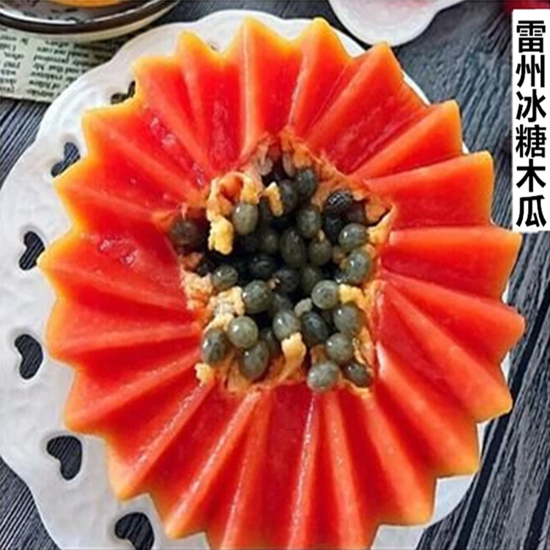【时令】雷州冰糖红心木瓜水果新鲜红心牛奶木瓜树上熟共发带箱
