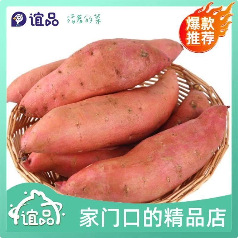 沙地蜜薯 550g±50g/份