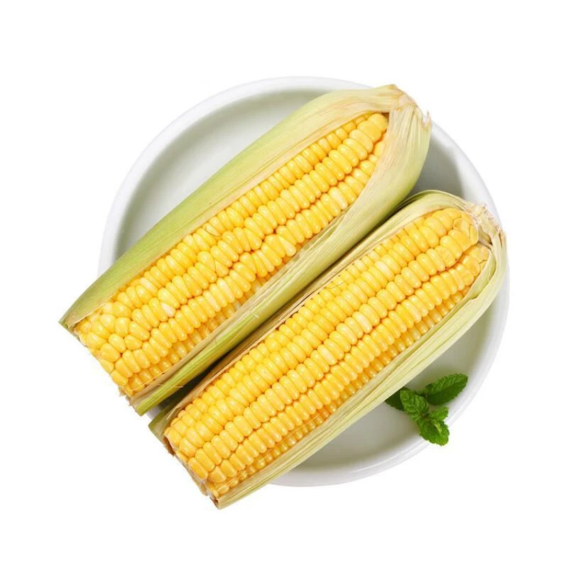 新鲜鲜玉米4根 约1.5kg/份