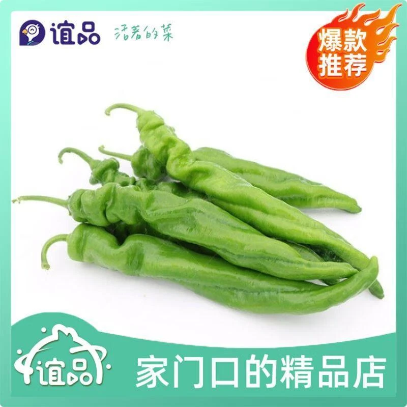 螺丝椒 250g±20g/份