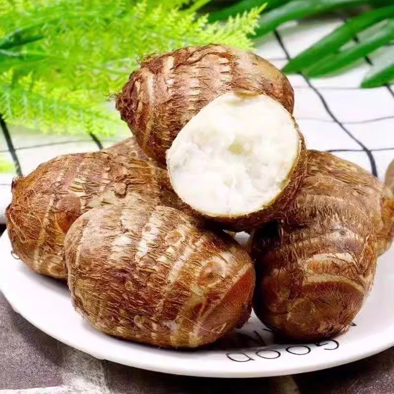【五斤】正宗牛奶芋头新鲜现挖现发奶甜奶香芋艿高山自家种植