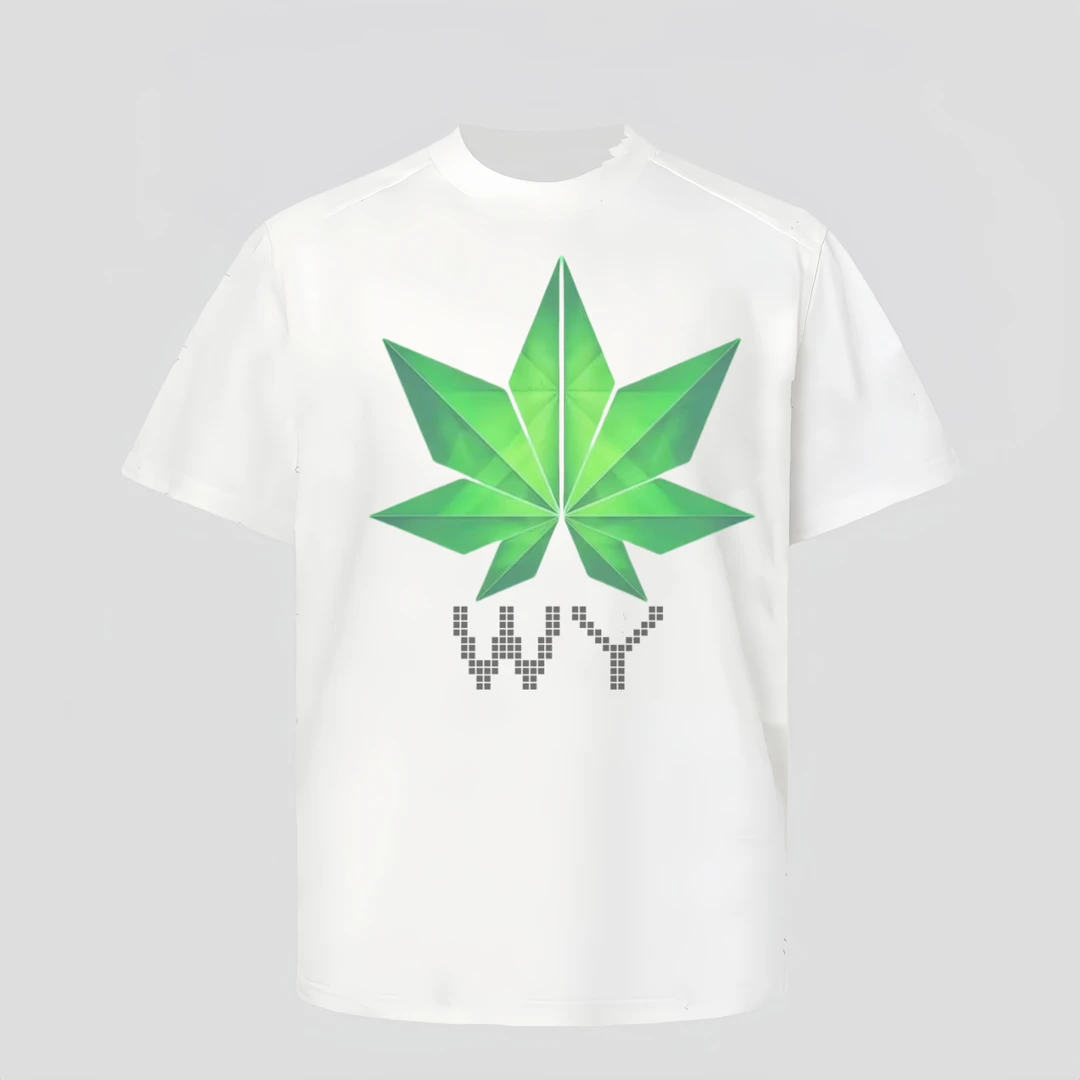 WY-1002#纯棉男士初秋夏针织季简约经典款半袖搭配高质感舒适T恤