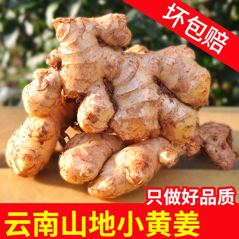 【去年老姜】云南山地小黄姜新鲜现挖山货土姜月子姜生姜3/5/9斤