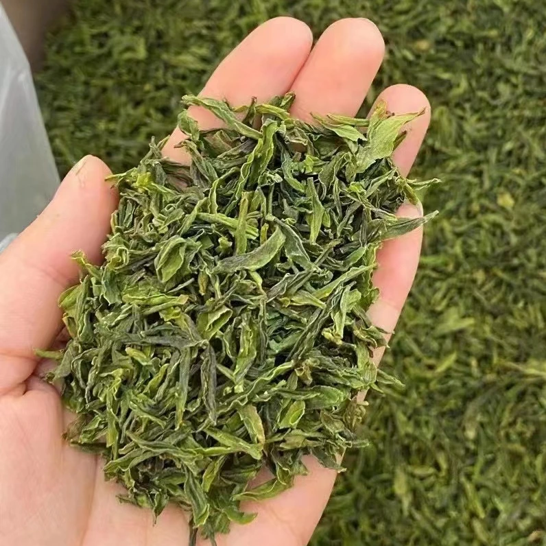 2025头采原产地 六安瓜片手工茶袋装茶厂