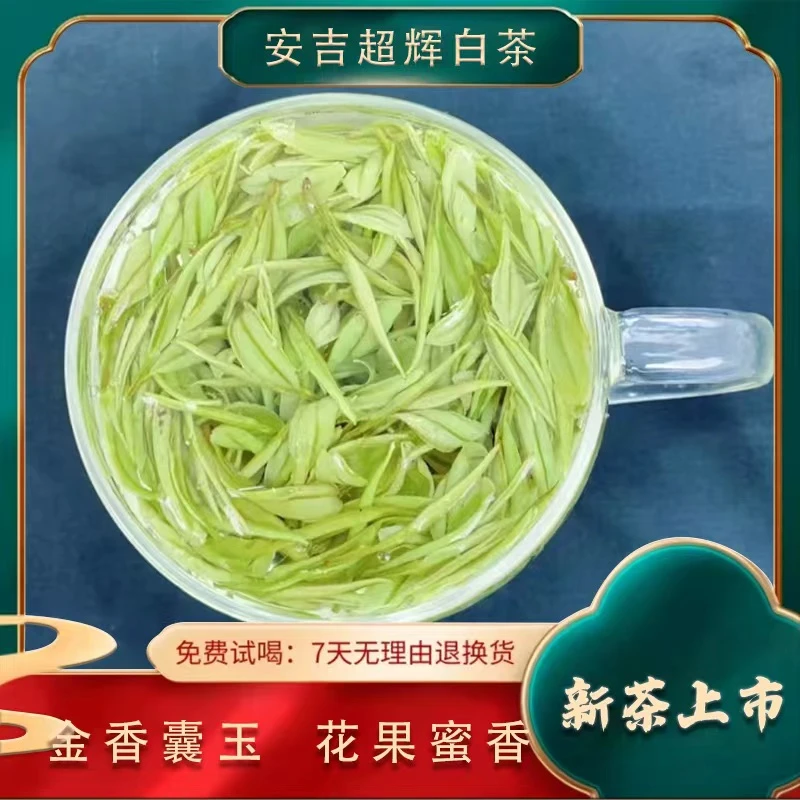 2025年新茶【新人见面礼】安吉原产地 金香玉 高山茶 明前茶 春茶