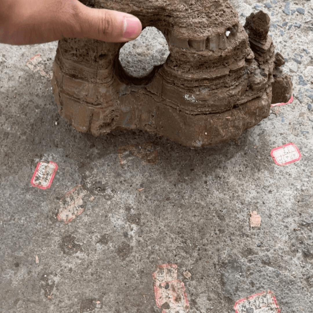 【闪购商品】紫砂生生世世的爱人一起去爱的世界观价值观戏***z