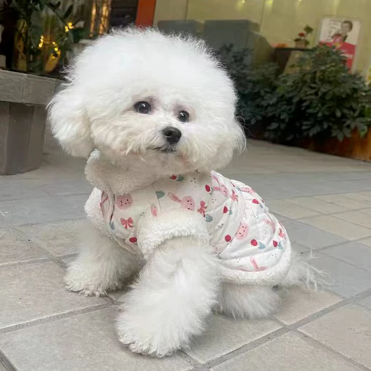 宠物衣服秋冬可爱兔子印花加厚牵引马甲泰迪比熊狗狗猫咪外套棉袄