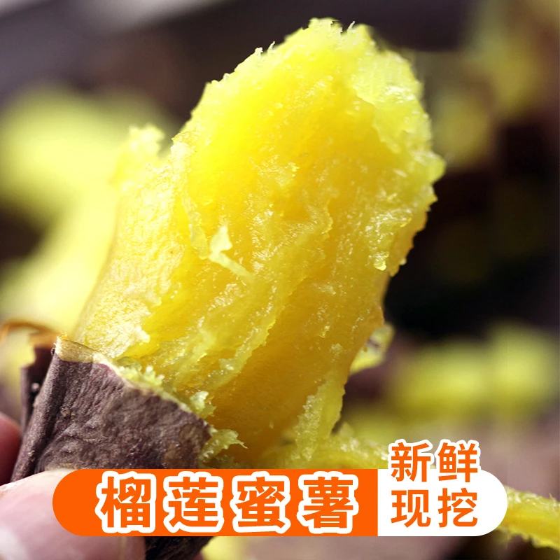 榴莲蜜薯高级红薯5斤黄心番薯香甜爽口沙地地瓜新鲜现挖优质品种