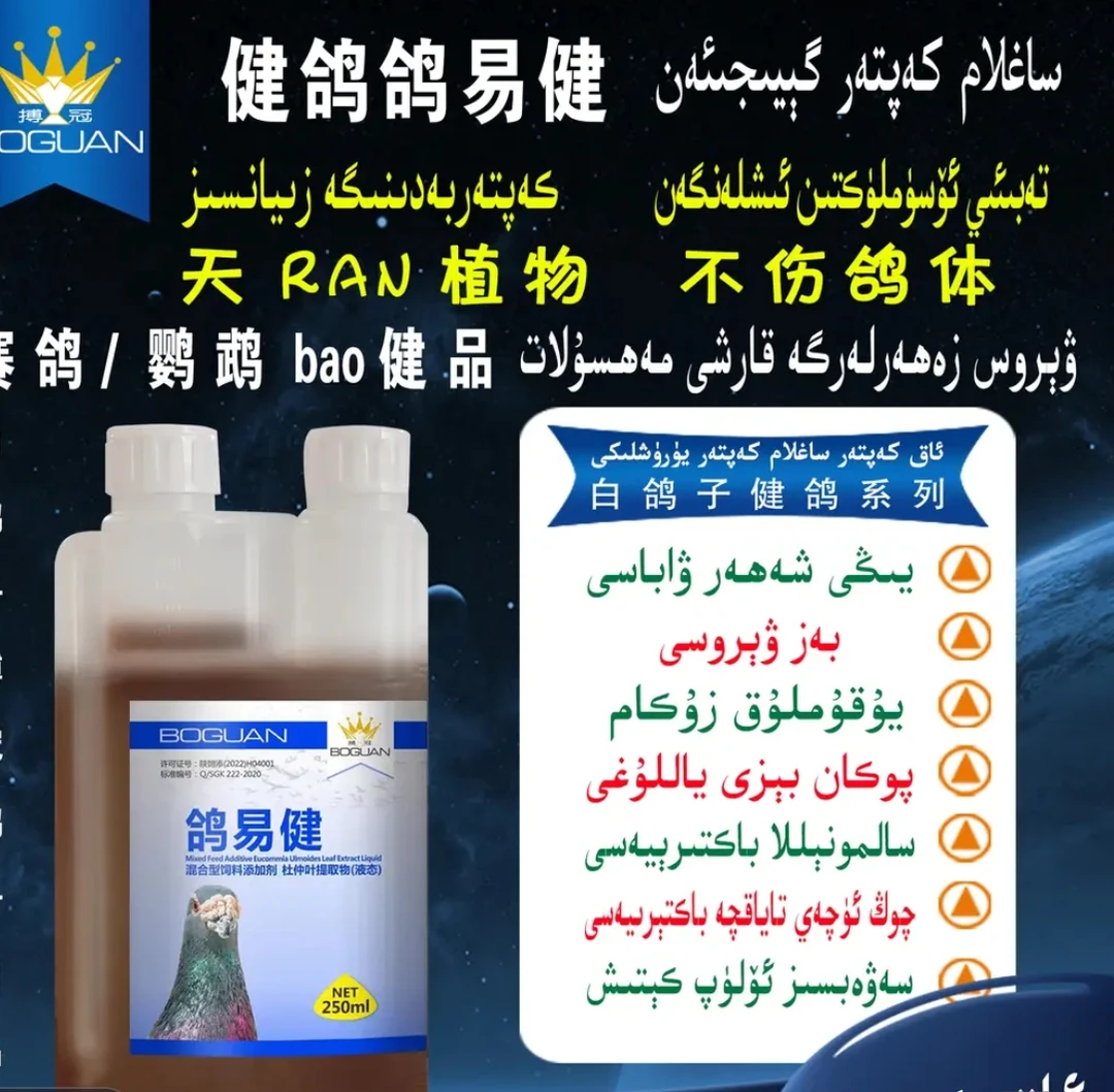 伊宁木医声搏冠健鸽鸽易健鹦鹉鸽子新城疫流感嗉腺病毒【新疆包邮】