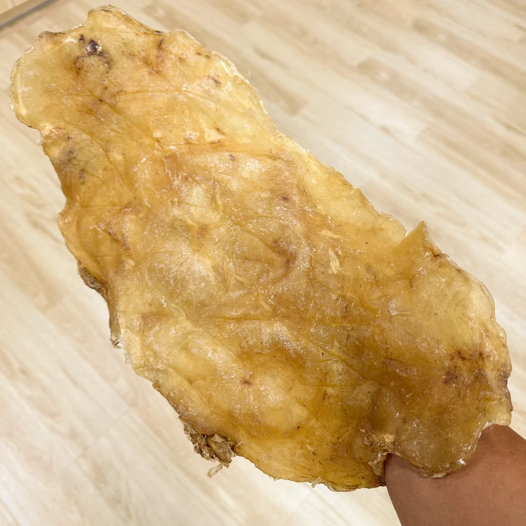 开片赤鱼胶 大片鱼胶 230克起