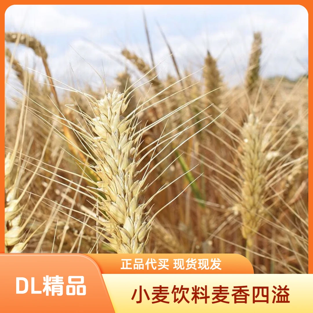 胖东来超市 千岛湖水 小麦精心酿品正品代买包邮