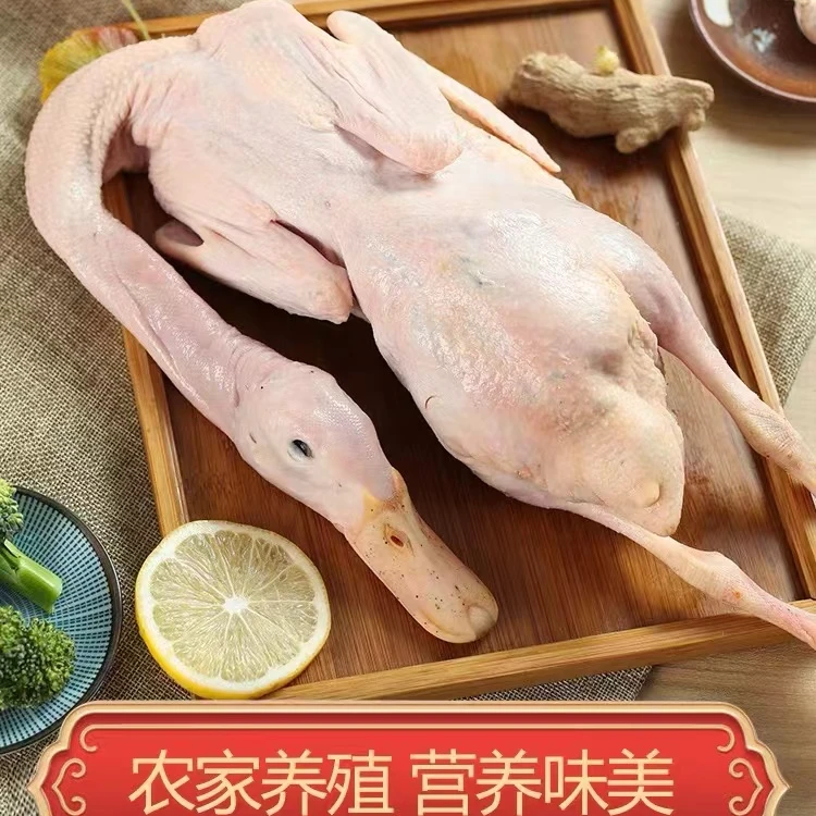 整只鸭子3只装6斤整鸭肉冷冻带掌带翅净堂