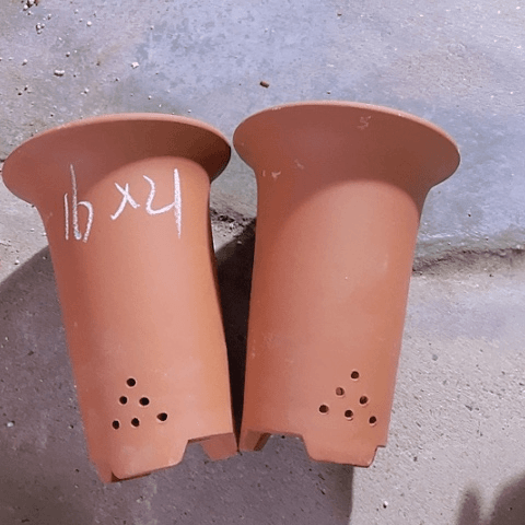 红陶20CM（含）-50CM（不含）紫砂紫砂