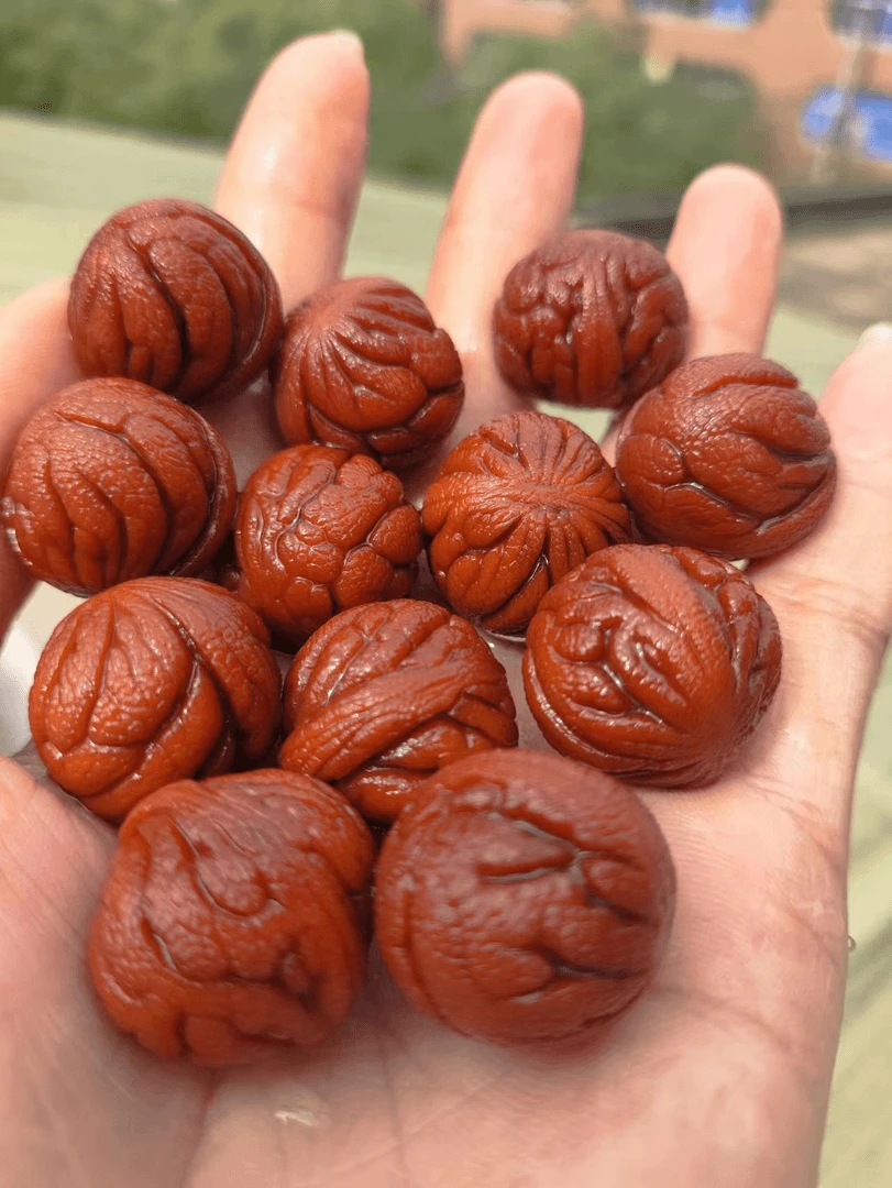 秦岭龙纹野生桃核，手串，手持，脖挂