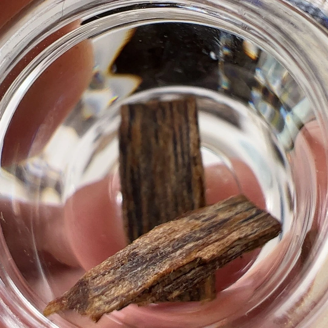 【闪购商品】香道类黄棋0.2