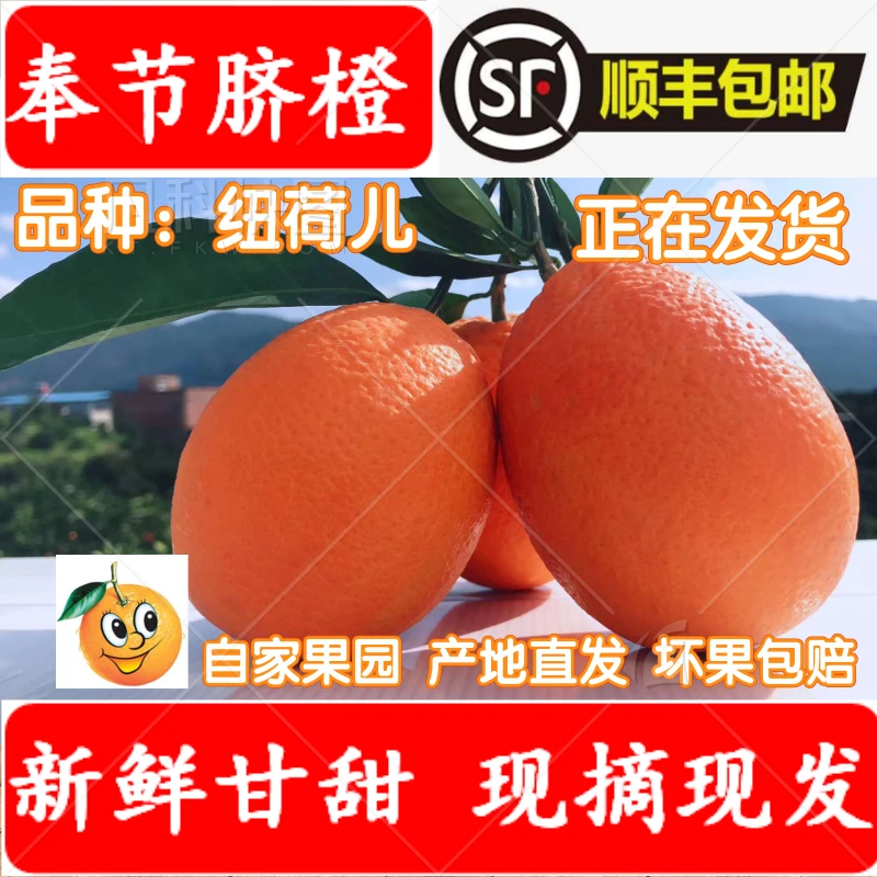 奉节脐橙现摘孕妇水果整箱20斤新鲜顺丰包邮10斤产地直发