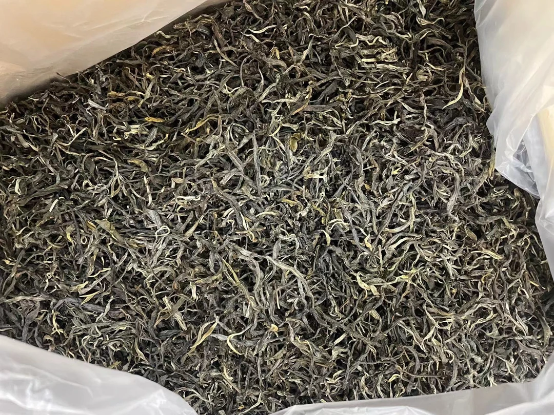 2025年老曼峨百年大树普洱生茶散茶1000g