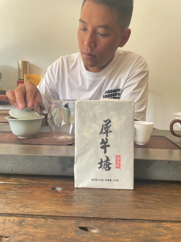 2023年犀牛塘古树头春黄金叶福利普洱生茶散茶250g