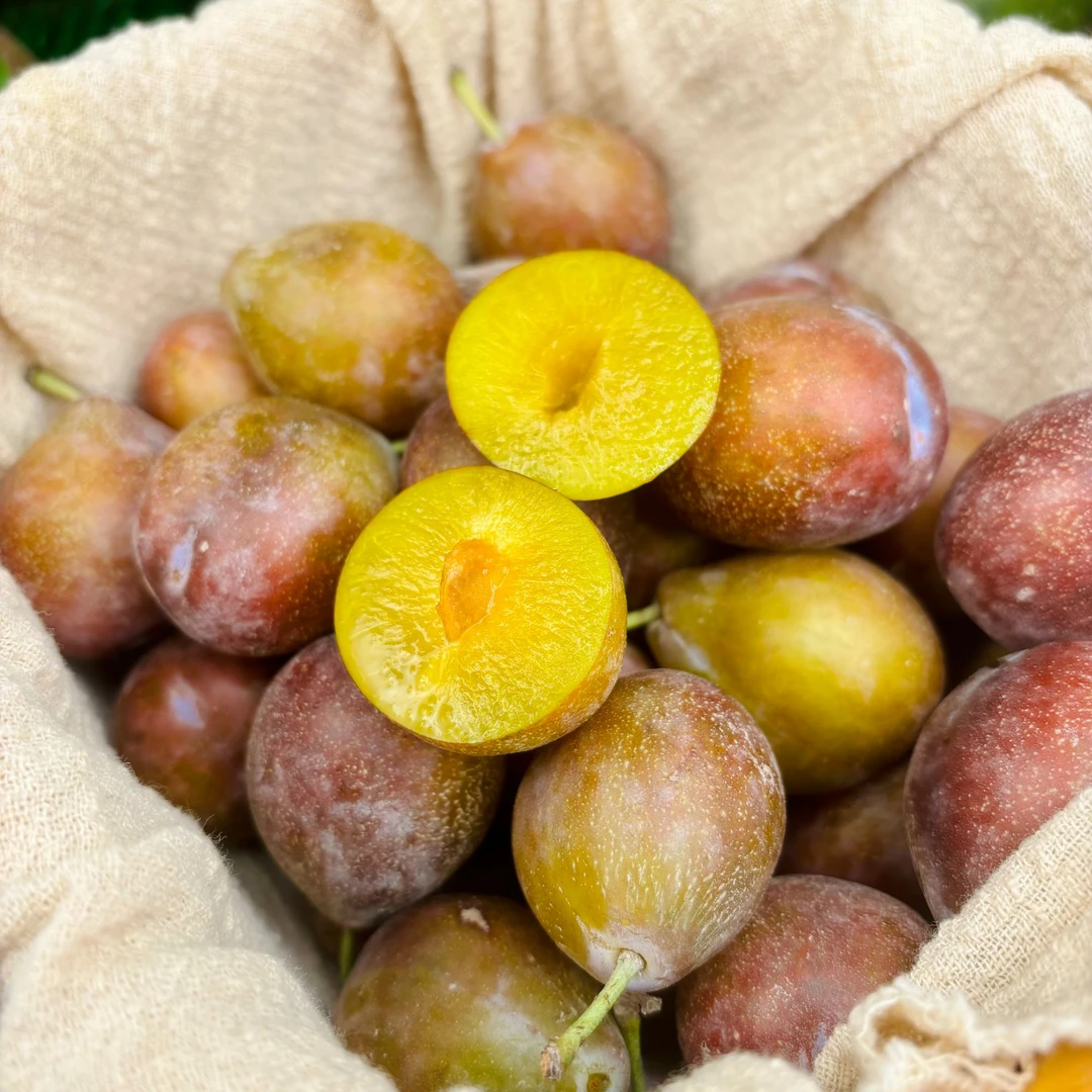 法兰西小西梅口感纯甜几乎无酸肉厚甘甜汁水充沛香甜爽口新疆喀什