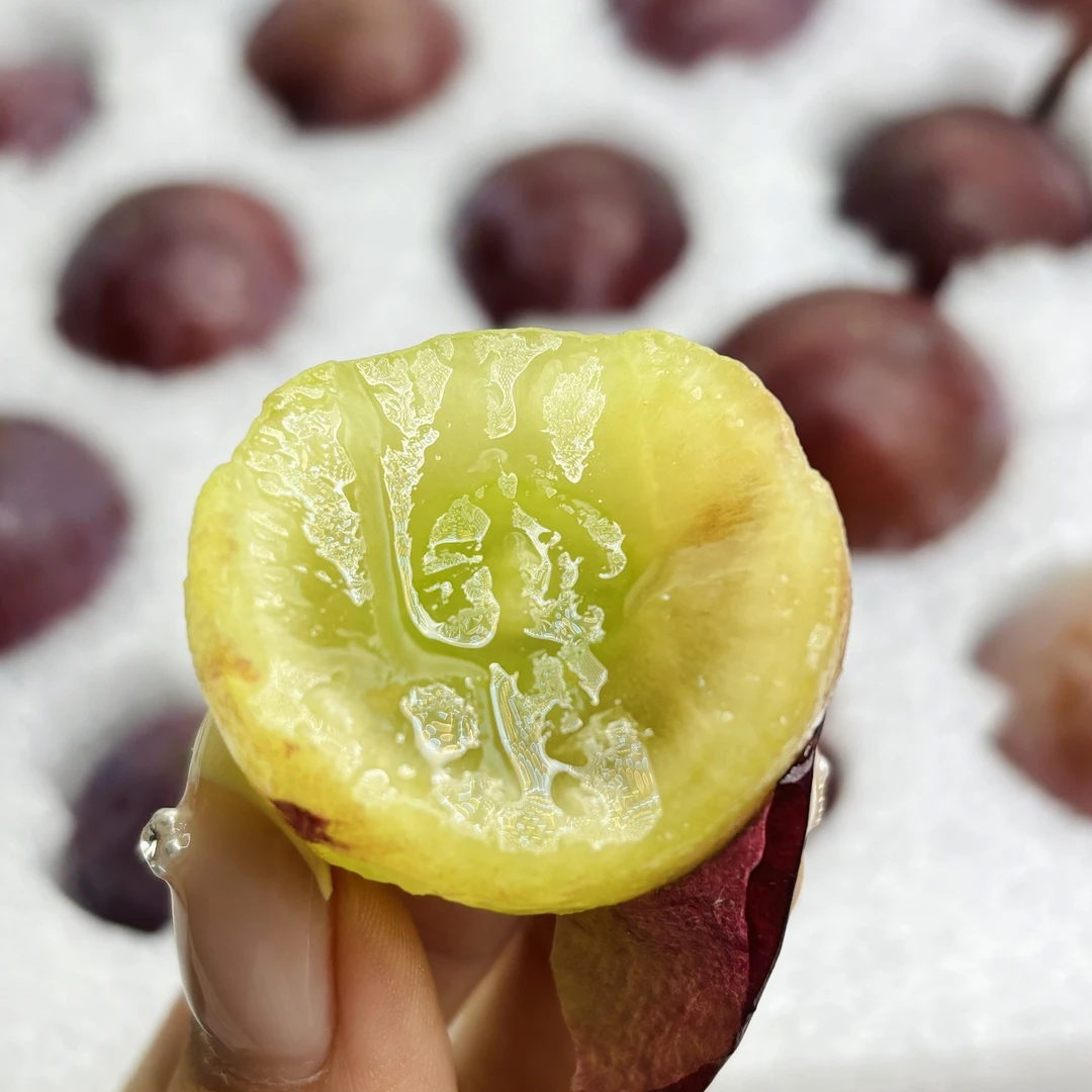 辽峰葡萄20+甜度几乎纯甜微微果酸风味浓郁肉质紧实水晶葡萄味儿