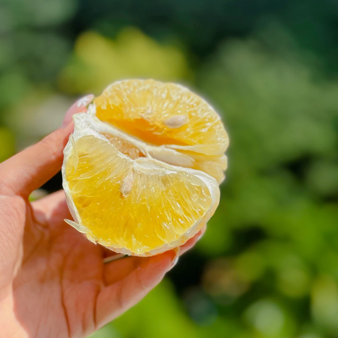 青皮葡萄柚纯甜清甜爆汁果肉嫩【膜带微苦，建议去膜口感更佳】4斤