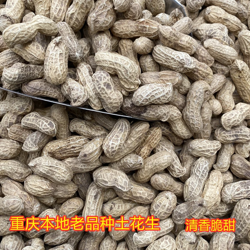 重庆农家干花生今年新货带壳生花生自然晒干可榨油做种