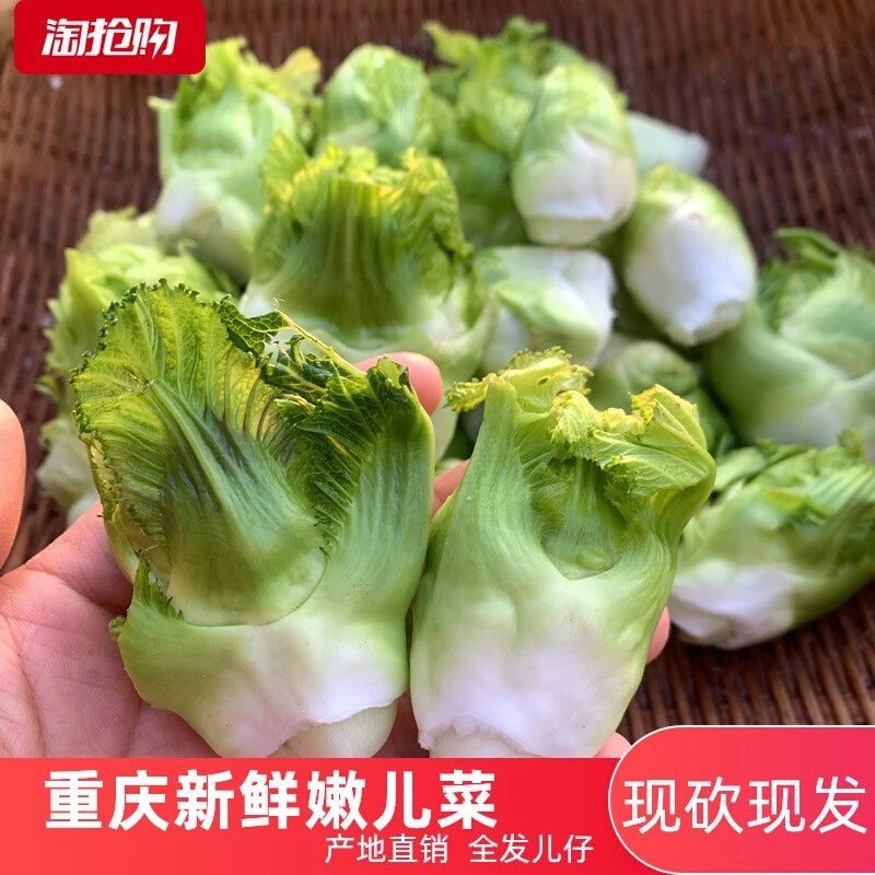重庆嫩儿菜新鲜多儿菜娃娃菜儿仔菜母子菜时令蔬菜可做泡菜