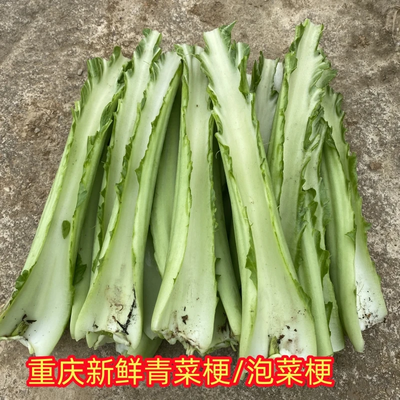 重庆青菜梗子新鲜菜杆杆圆梗子青菜杆泡菜专用应季蔬菜