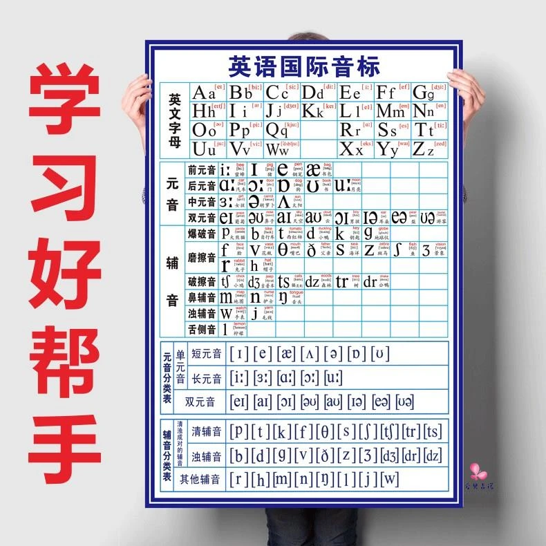 个国际音标有声挂图英标发声挂图豪华版发音学习神器小学初中学