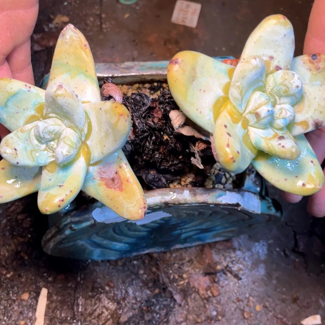 哈哈哈哈哈5160拇指