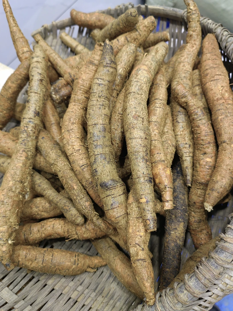 精选牛大力干货健康之源泡酒煲汤(中选）