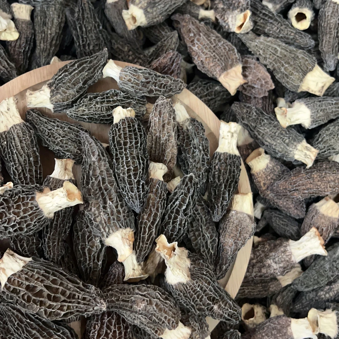 羊肚菌菇干货可煲汤煮水 规格100克-250克