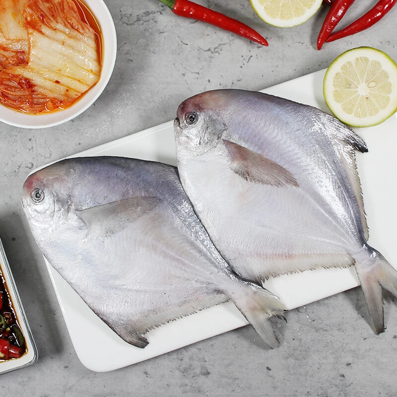 精选白鲳鱼银鲳鳊鱼鲜水产清蒸美味速冻发货非冷库货新鲜鲜活冷冻